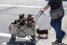 Nathalie VINCENT APONTE - NAVA 3.0